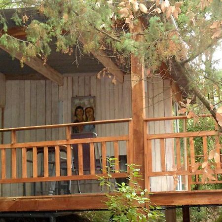 Chalet Dans Residence Privee La Gaude Bagian luar foto